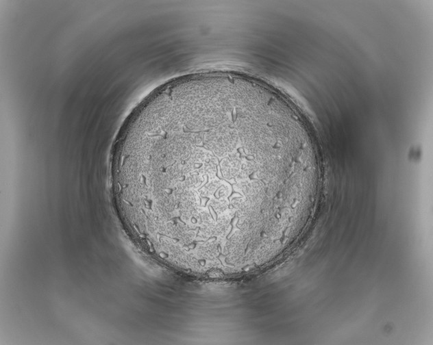 X0000091531031200709141431