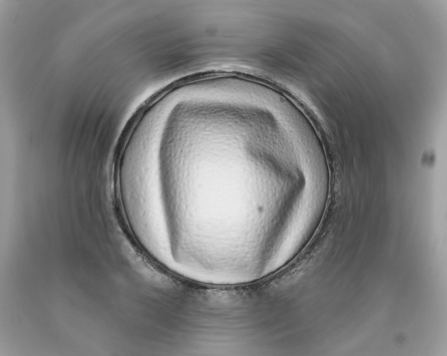 X0000091531032200709141431