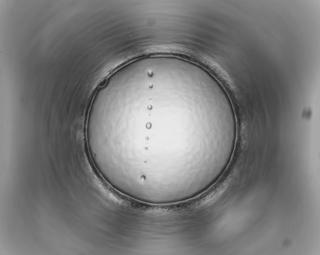 X0000091531033200709141431