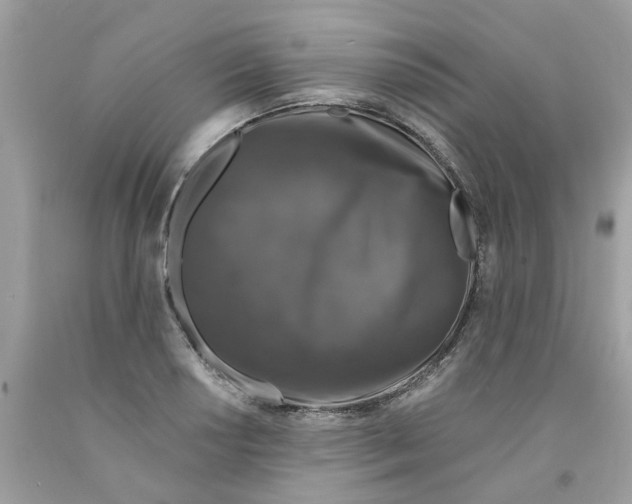 X0000091531034200709141431