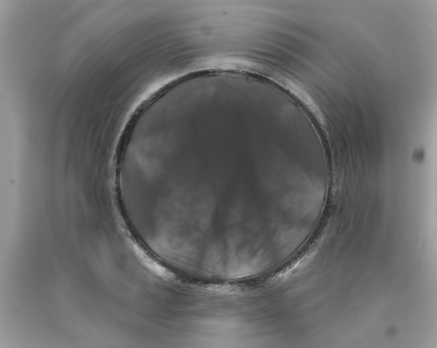 X0000091531037200709141431