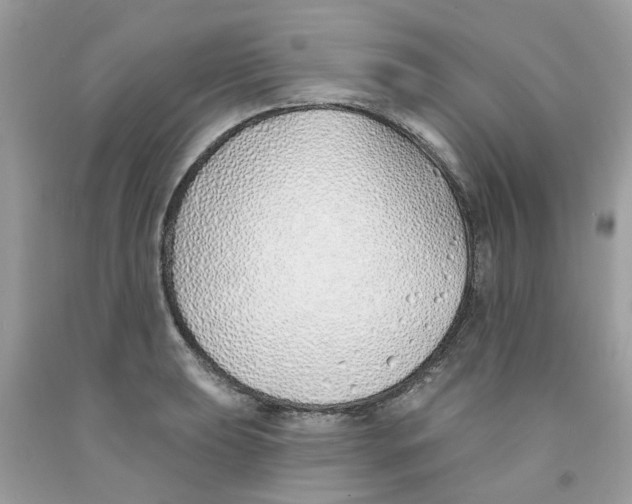 X0000091531039200709141431