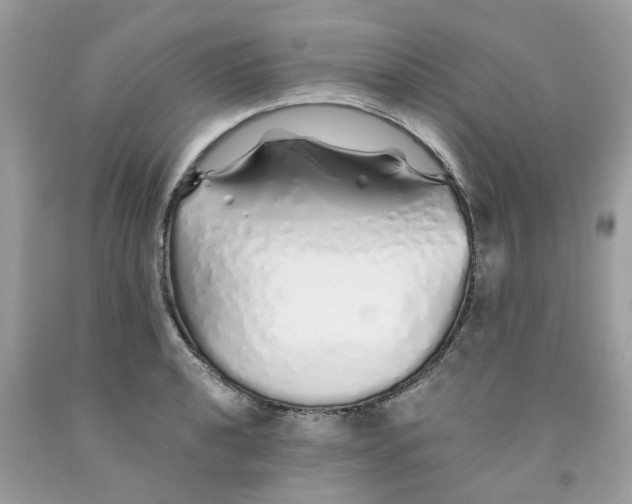 X0000091531040200709141431