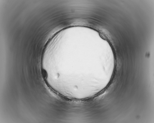 X0000091531041200709141431