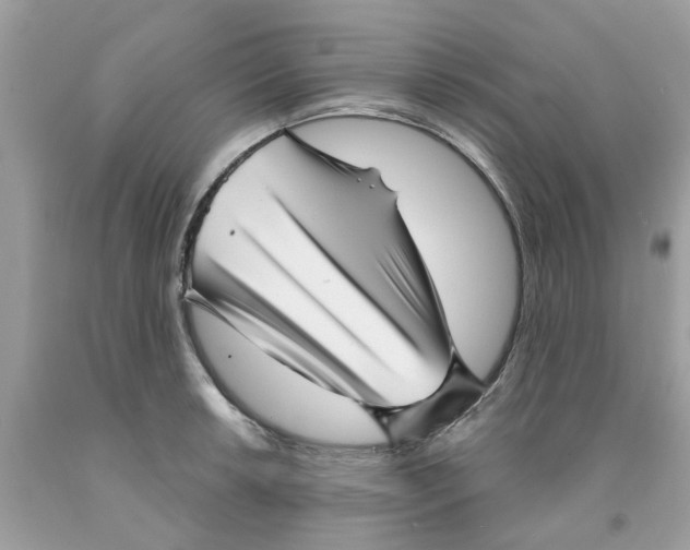X0000091531042200709141431