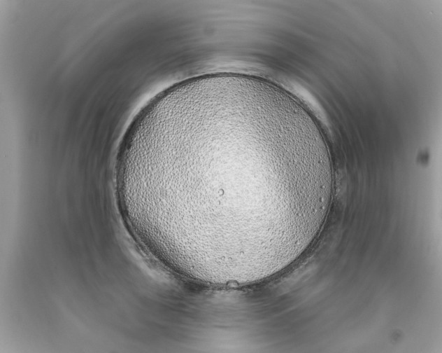 X0000091531043200709141431