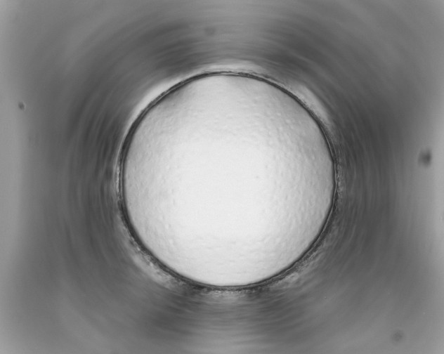 X0000091531044200709141431