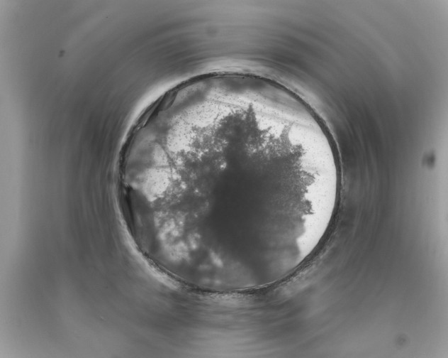 X0000091531045200709141431