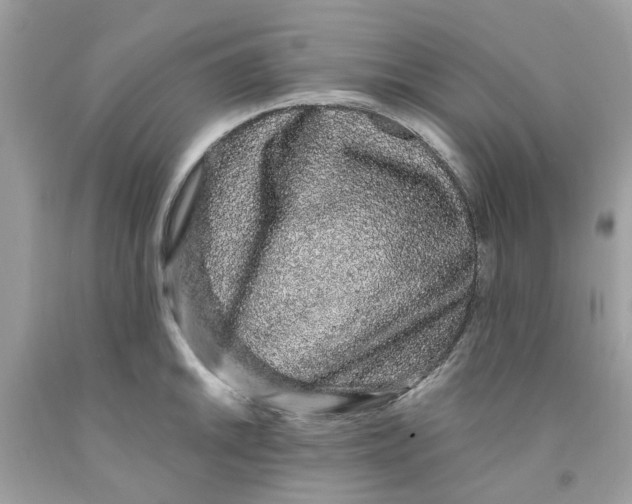 X0000091531046200709141431