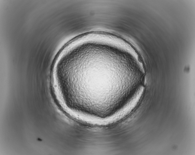 X0000091531048200709141431