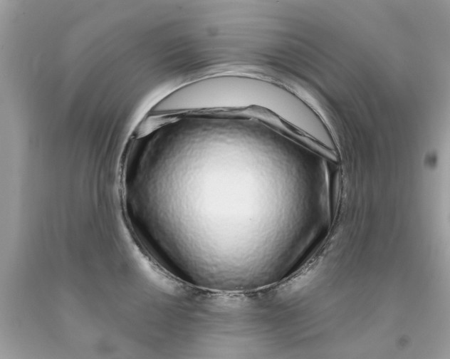 X0000091531050200709141431