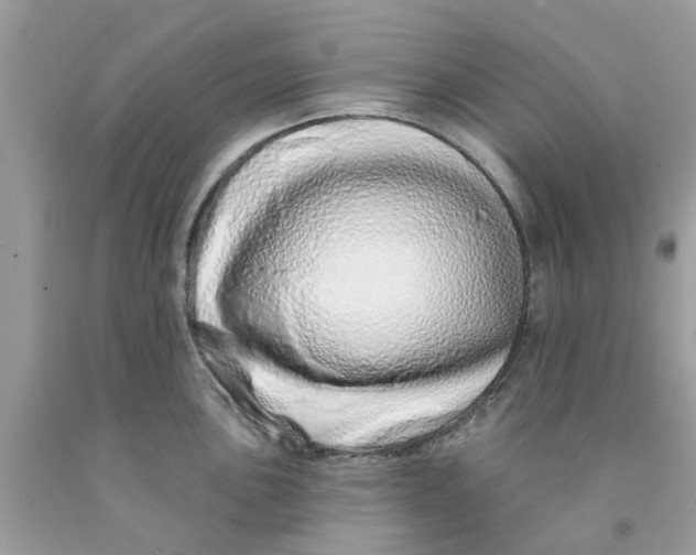 X0000091531051200709141431