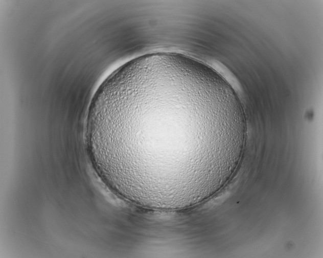 X0000091531052200709141431