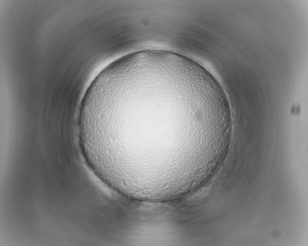 X0000091531056200709141431