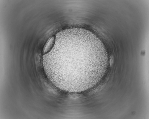 X0000091531059200709141431