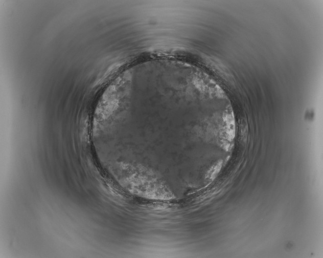 X0000091531060200709141431