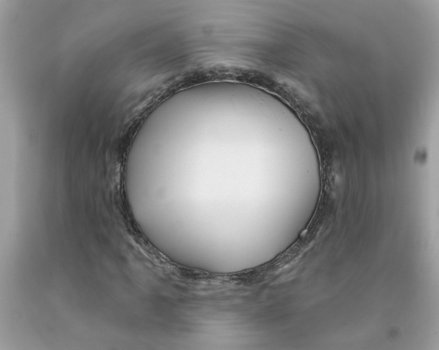 X0000091531061200709141431