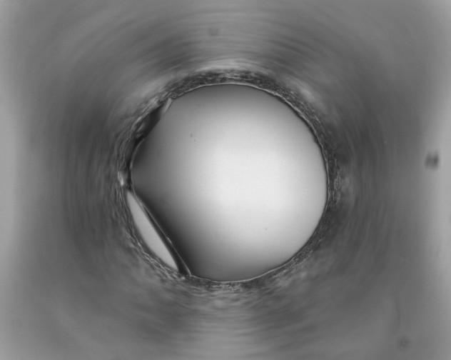 X0000091531062200709141431