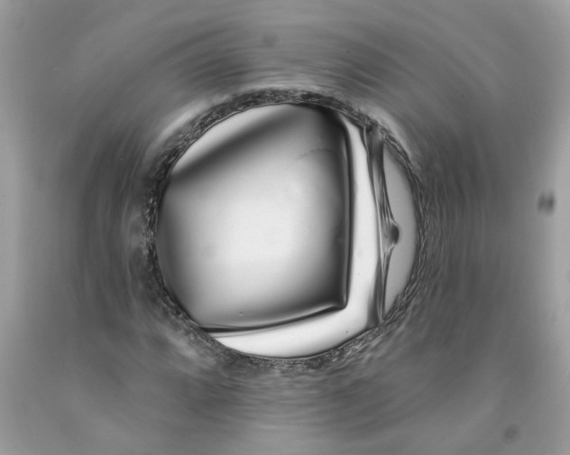 X0000091531064200709141431