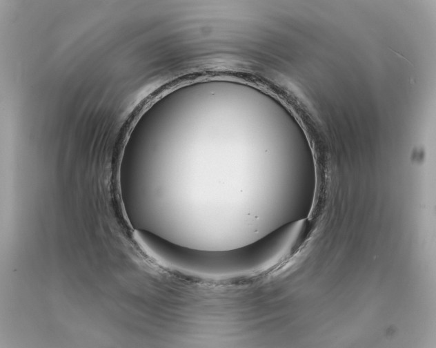 X0000091531065200709141431