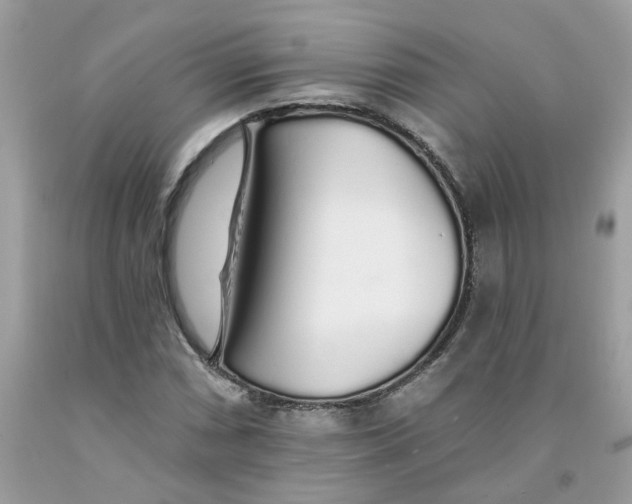 X0000091531066200709141431