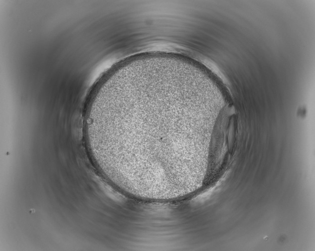 X0000091531067200709141431