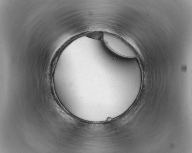 X0000091531068200709141431