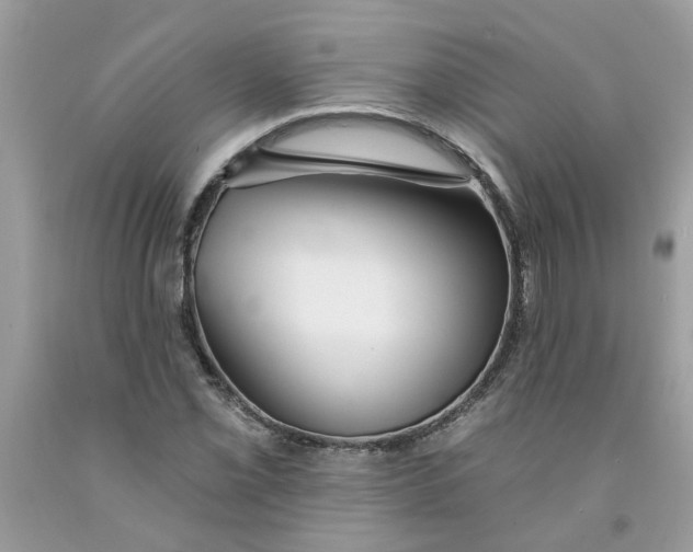 X0000091531069200709141431
