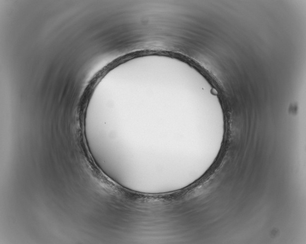 X0000091531070200709141430
