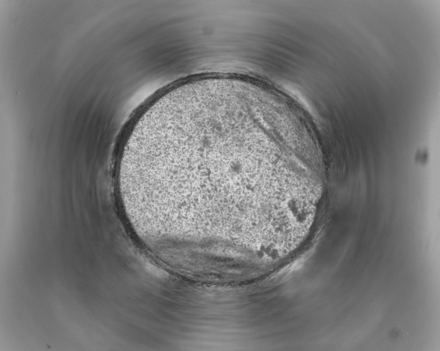 X0000091531071200709141430