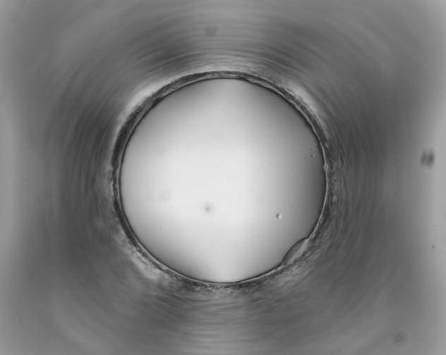X0000091531072200709141430