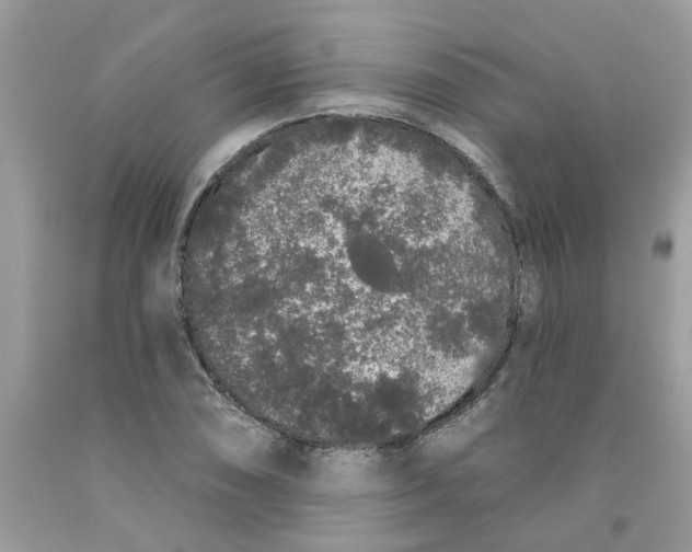 X0000091531074200709141430