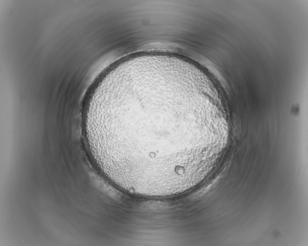 X0000091531075200709141430