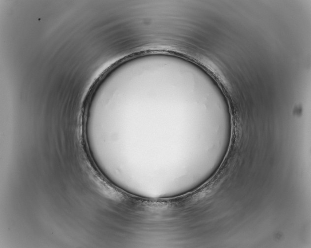 X0000091531076200709141430