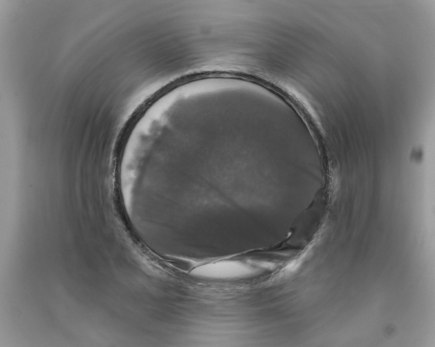 X0000091531077200709141430
