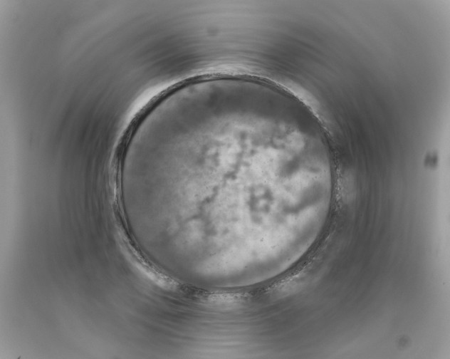 X0000091531078200709141430