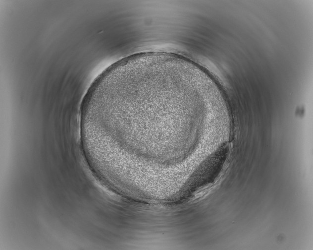 X0000091531079200709141430