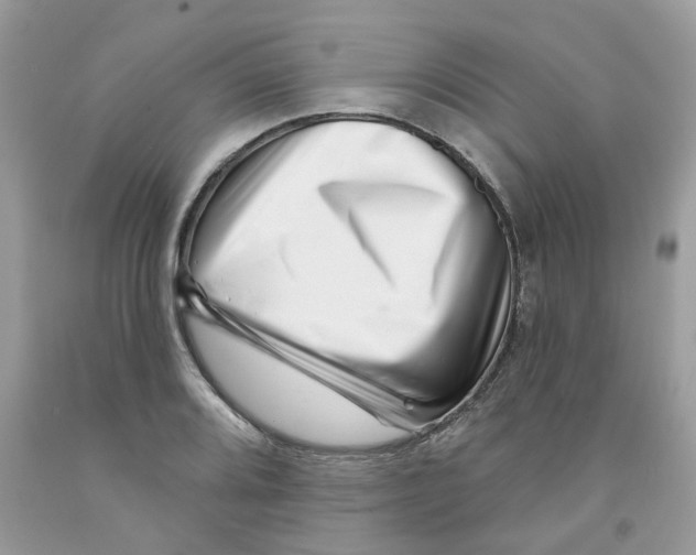 X0000091531080200709141430