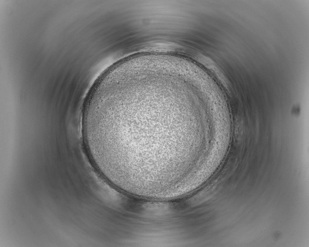 X0000091531083200709141430