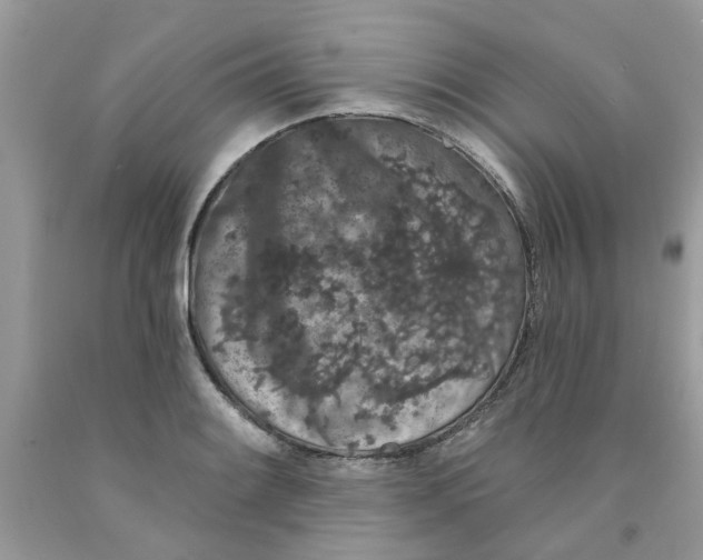 X0000091531084200709141430