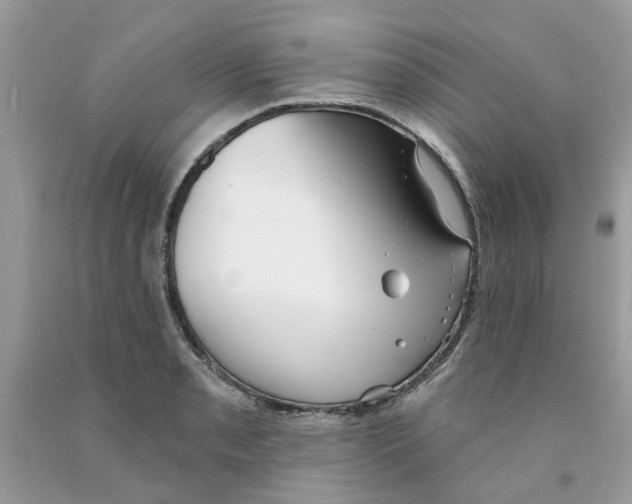 X0000091531085200709141430