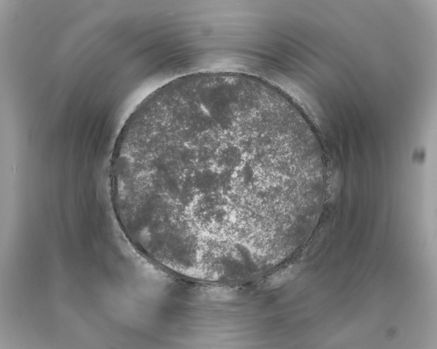 X0000091531086200709141430