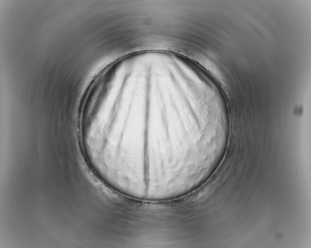 X0000091531088200709141430
