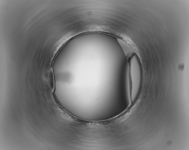 X0000091531089200709141430