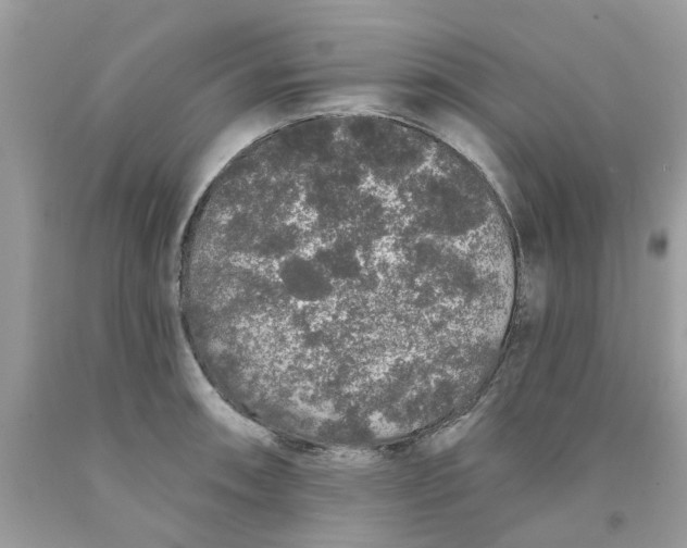 X0000091531090200709141430