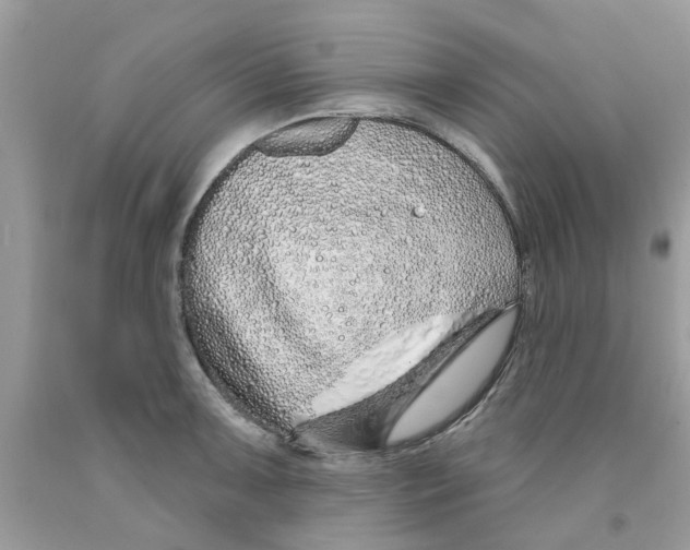 X0000091531091200709141430