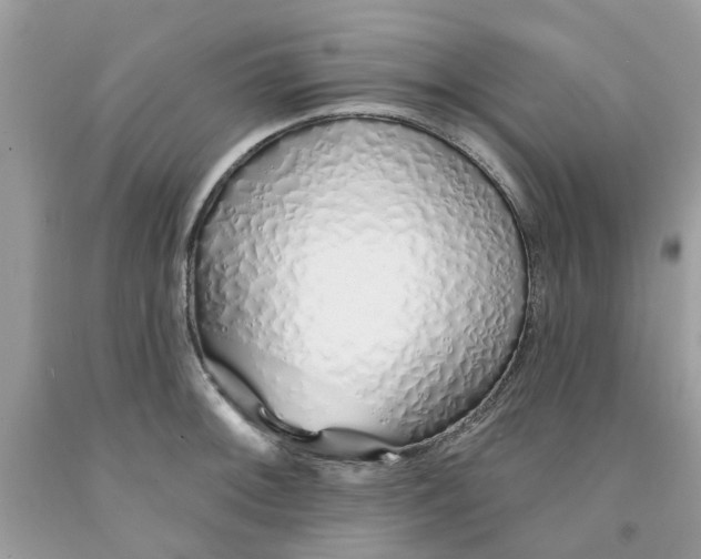X0000091531092200709141430