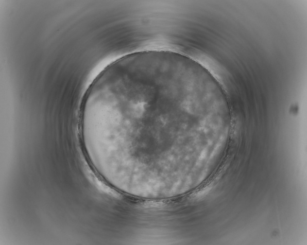 X0000091531094200709141430