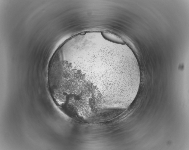 X0000091531095200709141430