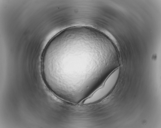 X0000091531096200709141430